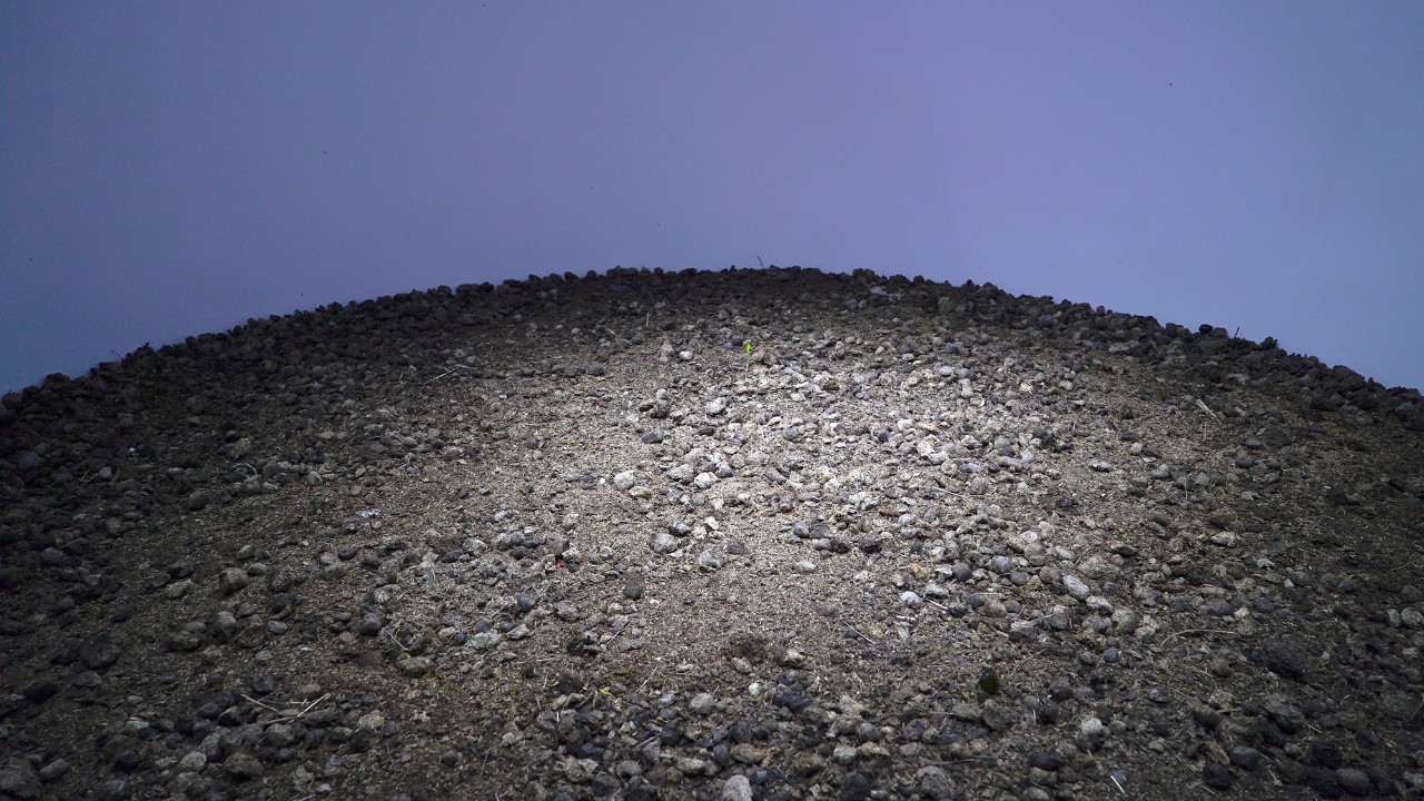 凤凰艺术,凤凰艺术是怎么来的