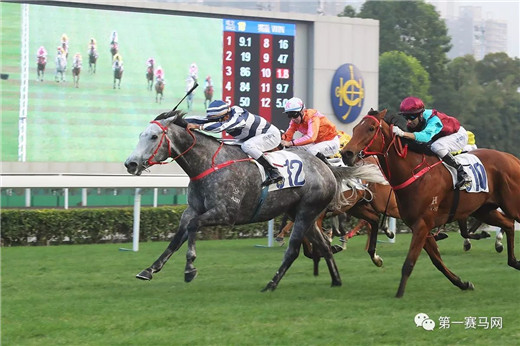 香港“好运1月1赛马日”落幕，“五十五十”夺华商会挑战杯