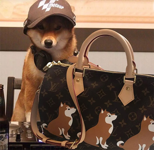 高颜值OR辣眼镜，狗年限量大牌们又交出了怎样答卷？