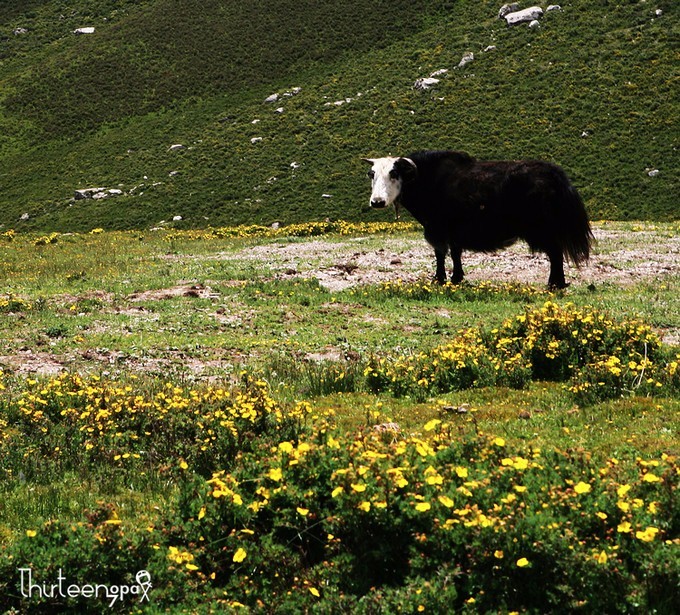 带着小三去旅行,带着小四去旅游