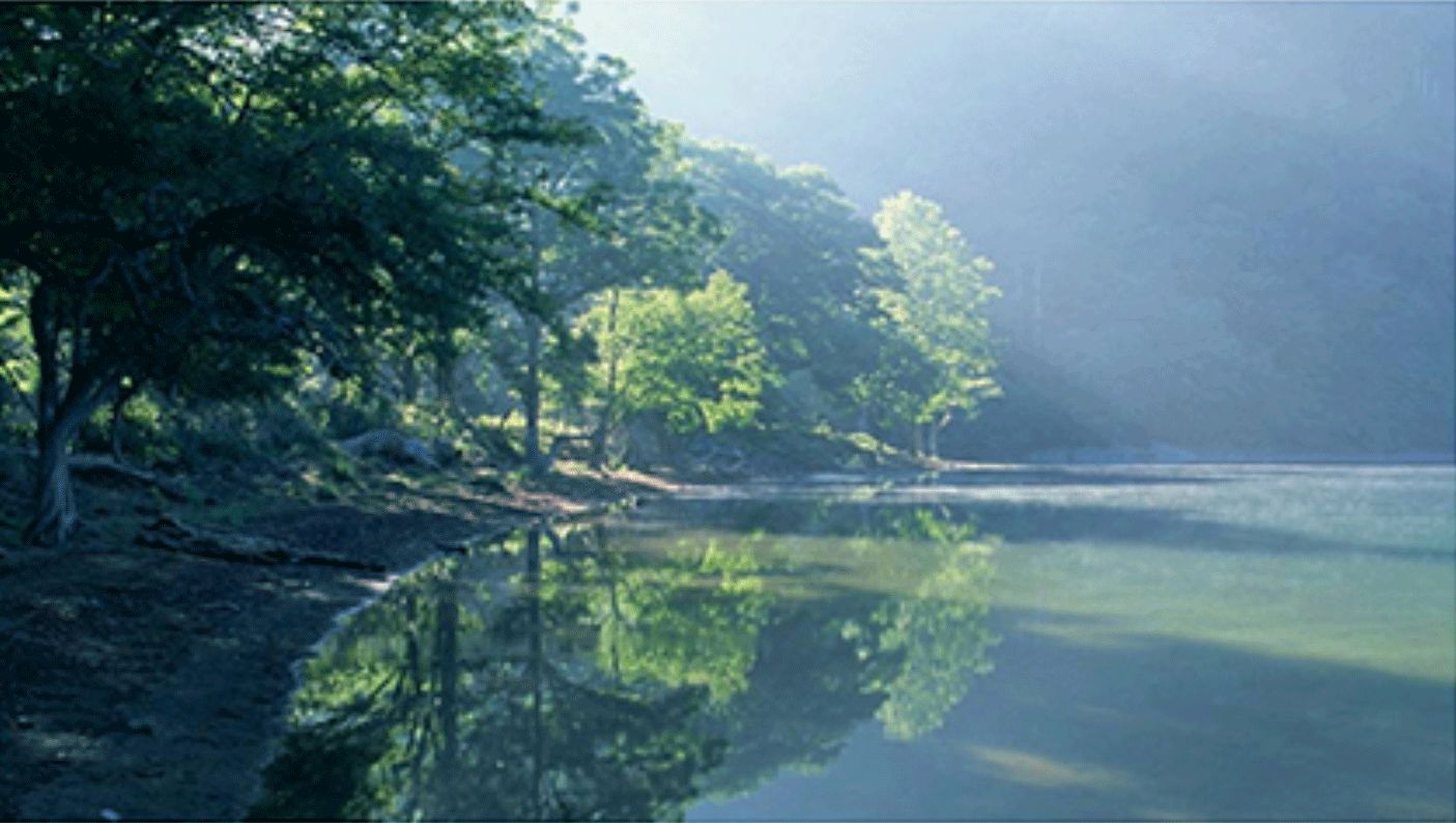 9折福利|梦境闻起来是什么味儿?这瓶香水告诉你