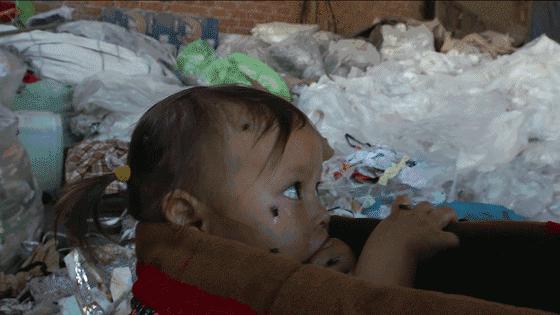 中国禁止洋垃圾入境,中国禁止洋垃圾