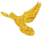 包头的历史文化简介,包头文化底蕴