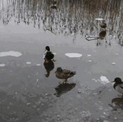 囧叔吐槽,囧吐槽