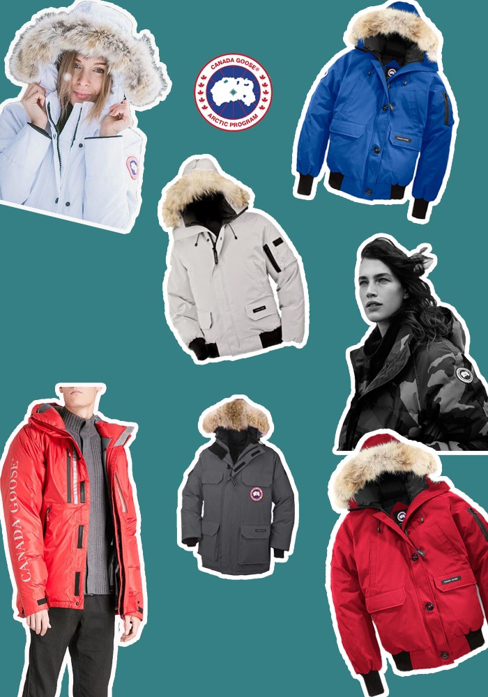 鎶勮鐨勬渶楂樺鐣屾湁澶氶珮,canadagoose