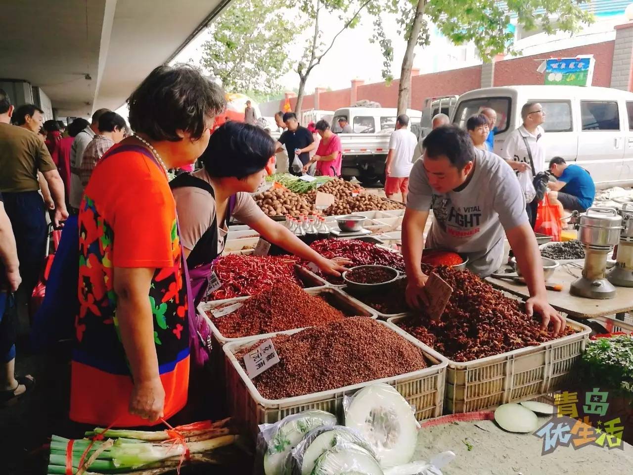 为什么青岛人性格很孤僻,青岛女生的性格特征