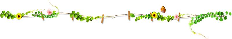 微竹溪新闻,湖北十堰竹溪微新闻