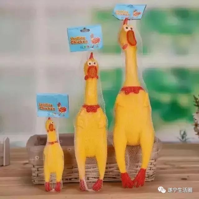 蓬溪一学生耍玩具枪“走火”手烧伤,店主承担一半医疗费