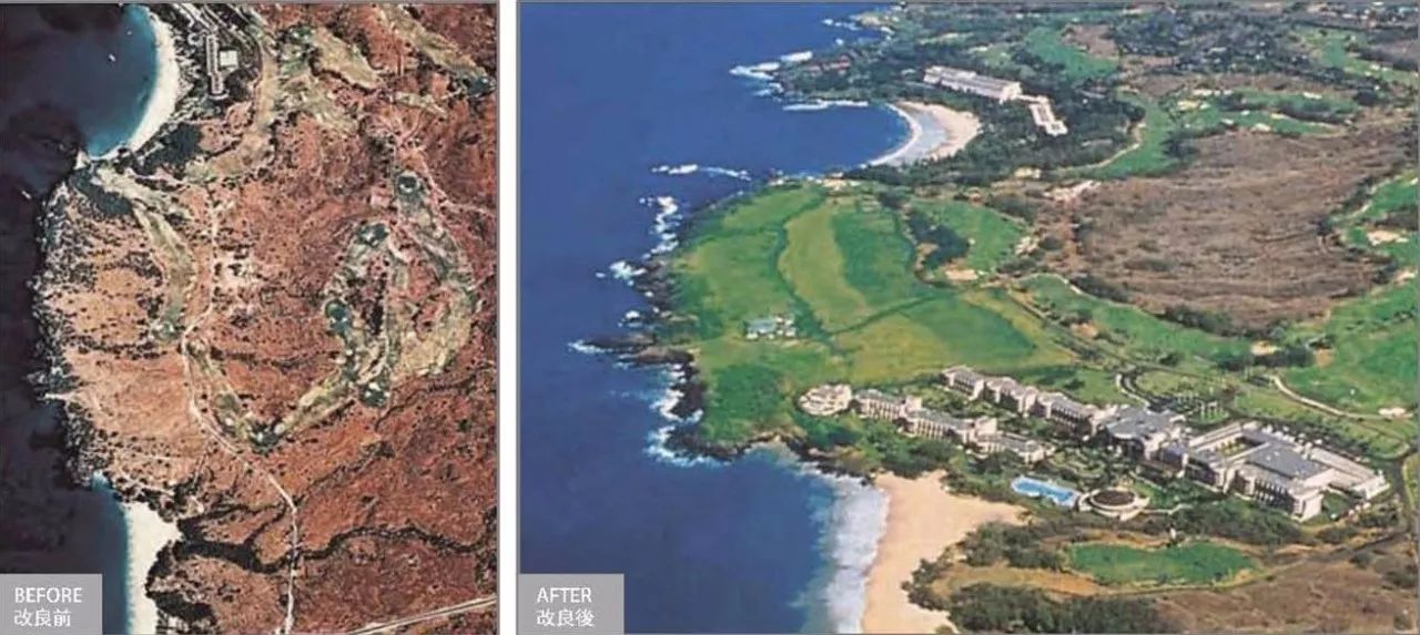 景观设计可以做的课题,景观设计可以做什么