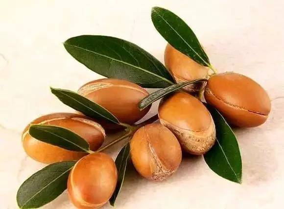 “果中爱马仕”!宁波这种本地桔子,店里一只卖20元!