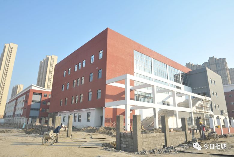 推动全区教育均衡优质发展,聚焦优质均衡建设教育强区