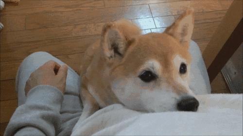 银川冬季风景优美的地方,银川冬天拍照好看的地方