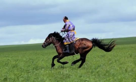 包头的历史文化简介,包头文化底蕴