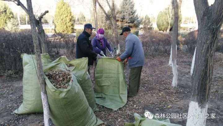 金凤区共同参与齐治理全力做好大气污染防治工作