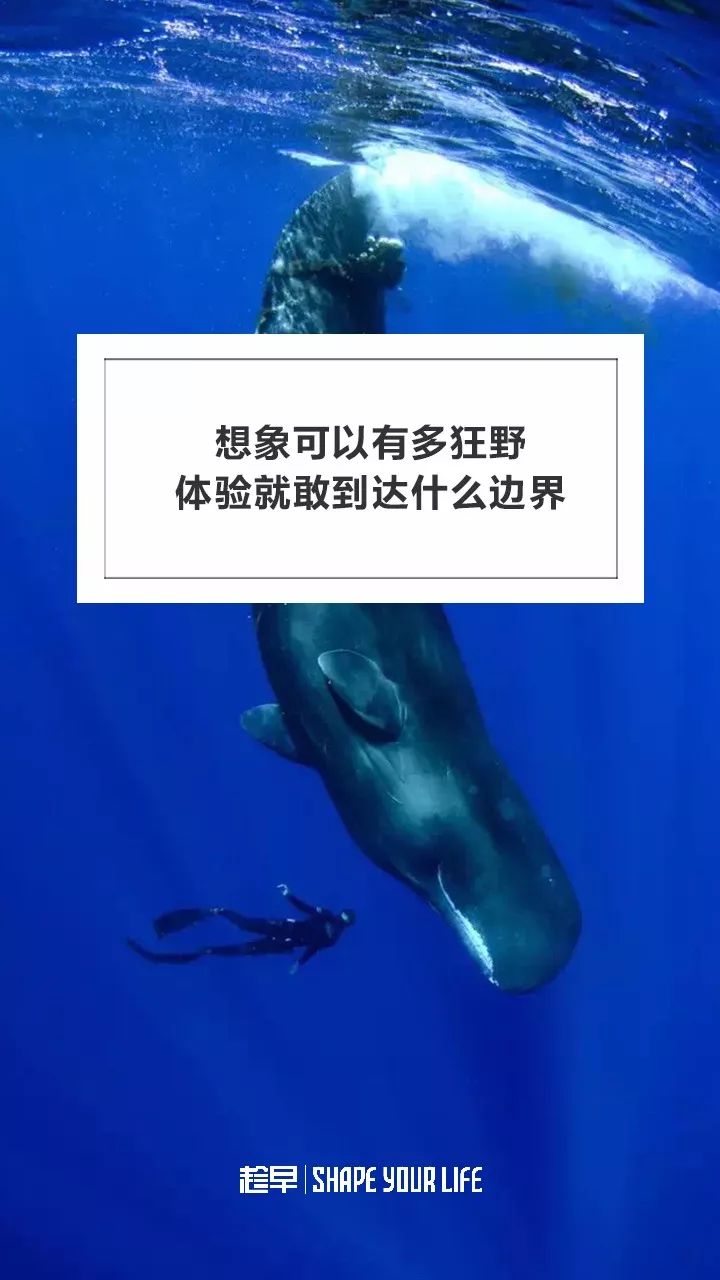 你们的想象太丰富了原版,你的想象和现实完全不一样