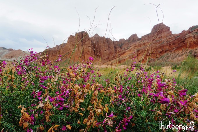 带着小三去旅行,带着小四去旅游