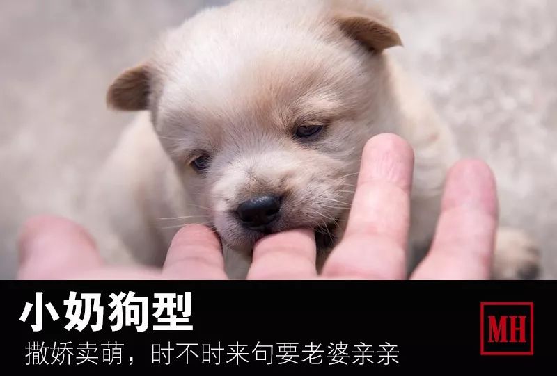 男朋友有点娘,男朋友很苏是什么体验