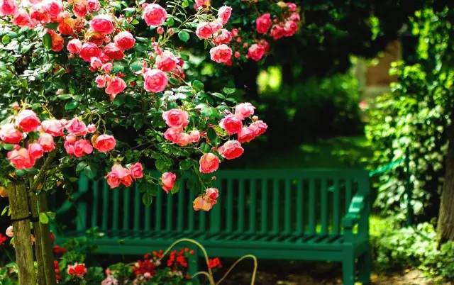 恋与制作人能玩到头吗,恋与制作人相伴时光