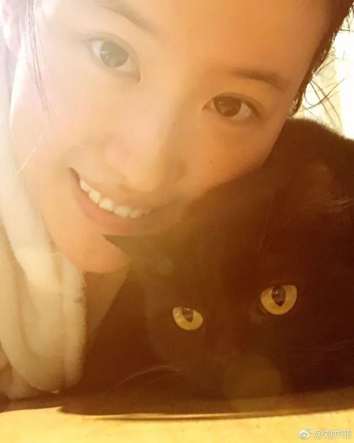 二代妖精刘亦菲颠覆形象妖气十足,35岁刘亦菲照样美成天仙