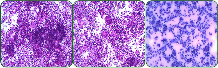 同为同龄人命运各不同,同为双胞胎命运却不同