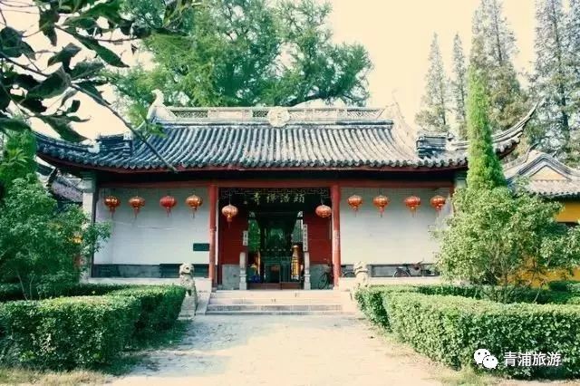 17号线东方绿舟报站,17号线东方绿舟上海