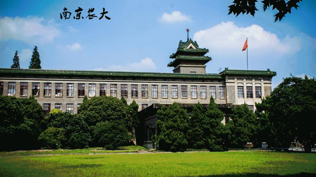 2018年玄武、雨花要逆天！看完再也不想离开……