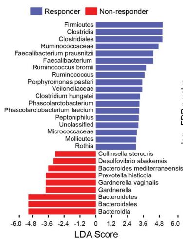 抗癌微生物疗法,nature免疫治疗最新突破