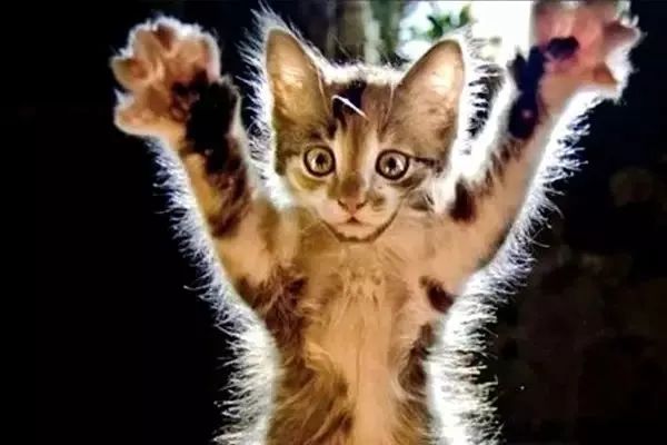 经常被静电溅到要怎么办,怎么去除静电不被电击