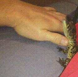 囧叔吐槽,囧吐槽