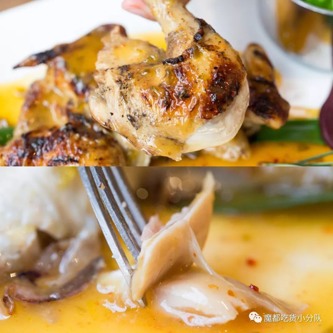 端不动的鱼缸鸡尾酒,边嚼边喝