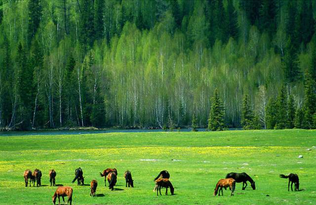 最近深圳市有哪些新闻,深圳今日新闻热点
