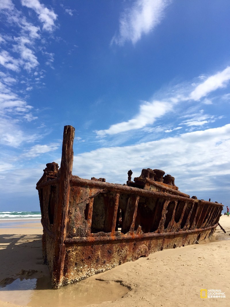 FraserIsland|快来全世界最大的沙岛上撒把野