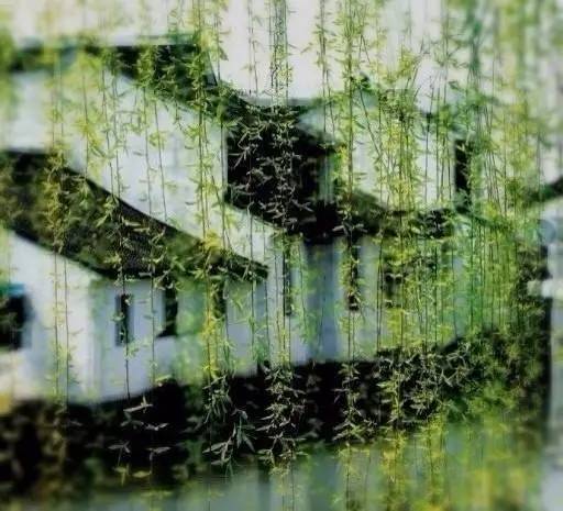 把你的心走过的路，说出来，就是诗啊