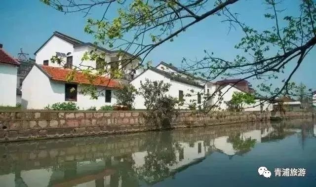 17号线东方绿舟报站,17号线东方绿舟上海