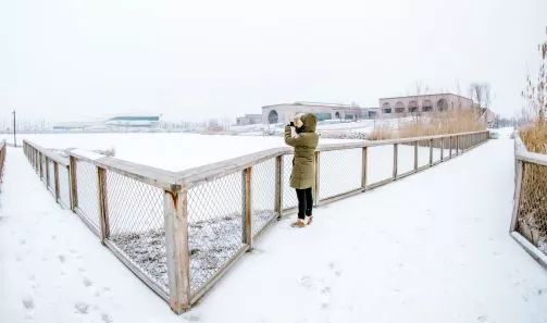银川冬季风景优美的地方,银川冬天拍照好看的地方