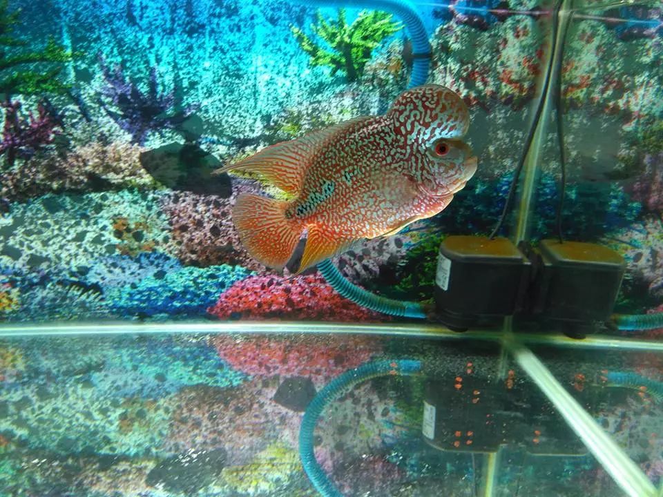 没有本事的老婆才会欺负老公,没任何社会经验的媳妇