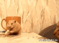 囧叔吐槽,囧吐槽