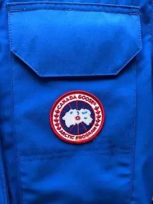 鎶勮鐨勬渶楂樺鐣屾湁澶氶珮,canadagoose