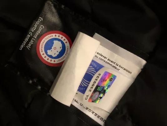 鎶勮鐨勬渶楂樺鐣屾湁澶氶珮,canadagoose