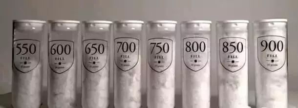 鎶勮鐨勬渶楂樺鐣屾湁澶氶珮,canadagoose