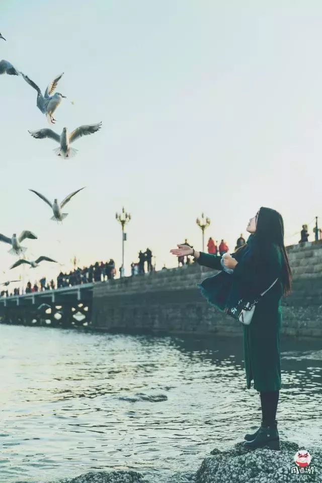 为什么青岛人性格很孤僻,青岛女生的性格特征