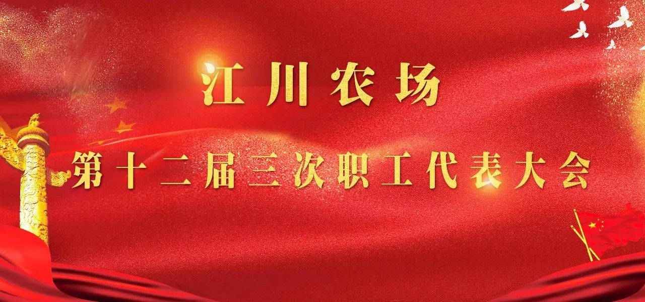 职代会工作报告｜不忘发展初心牢记振兴使命为农场经济社会持续稳定发展而努力奋斗—江川农场*党**委书记何军