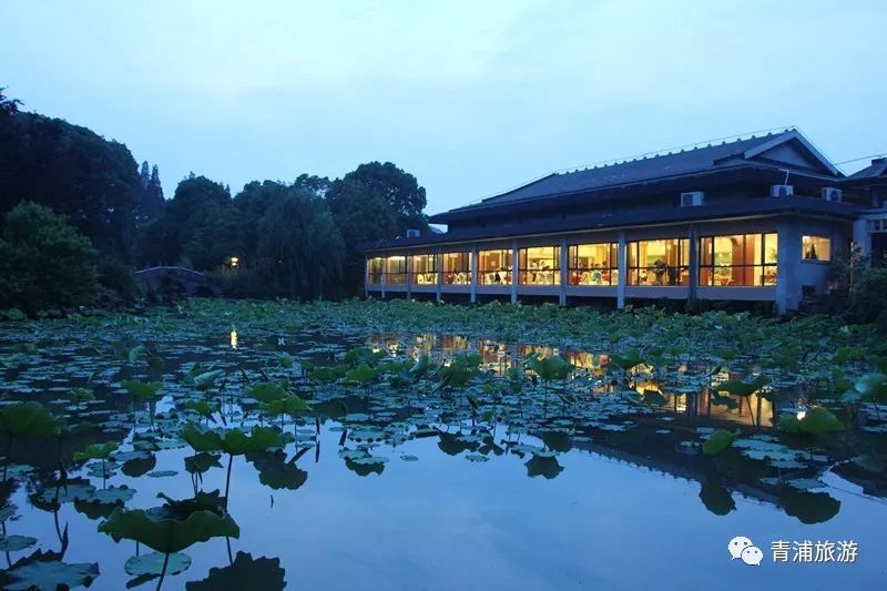 17号线东方绿舟报站,17号线东方绿舟上海