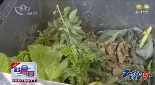 经开区横林镇狄坂村首先试点：化腐朽为神奇，垃圾变成生物肥料！