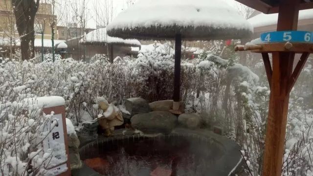 银川冬季风景优美的地方,银川冬天拍照好看的地方