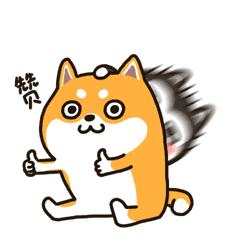 邵逸夫医生排名,邵逸夫甲状腺手术怎么样