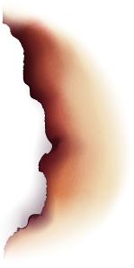 香港早餐吃蛋挞,香港蛋挞哪里最正宗