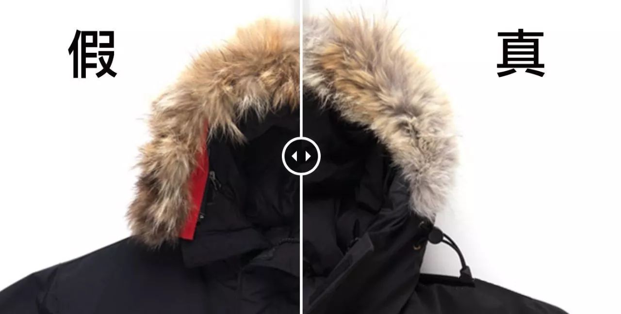 鎶勮鐨勬渶楂樺鐣屾湁澶氶珮,canadagoose