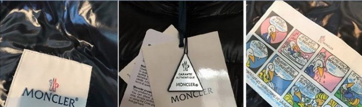 鎶勮鐨勬渶楂樺鐣屾湁澶氶珮,canadagoose