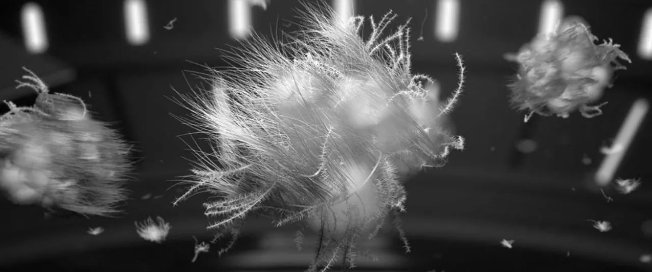 鎶勮鐨勬渶楂樺鐣屾湁澶氶珮,canadagoose